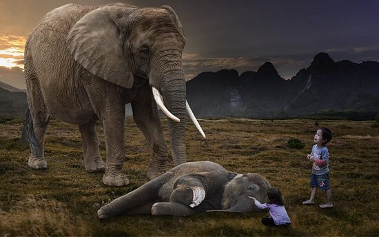 Découvrez en quoi l'hypersensibilité fait de vous un super-héros mais aussi le revers de la médaille