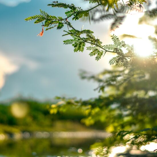 perception_psy_redonner_du_sens_a_sa_carriere